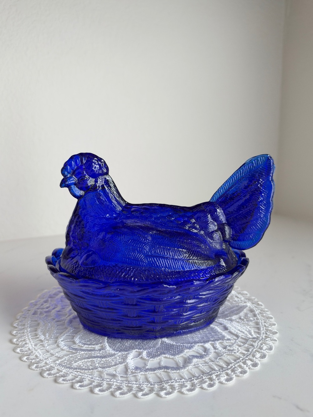 Cobalt Blue Hen On Nest!